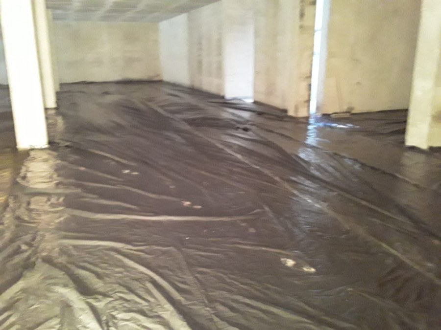 Грибок розового цвета на наливном полу