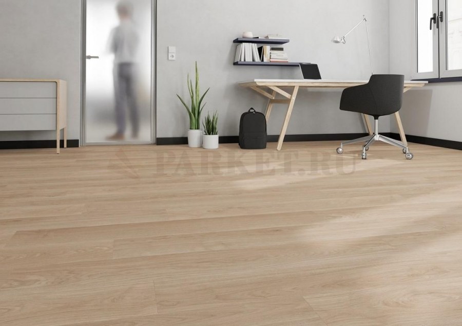 Kastamonu Sunfloor sf57 вяз Квебек