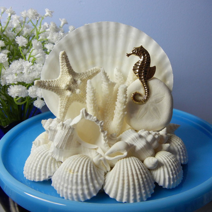 Композиции из морских ракушек