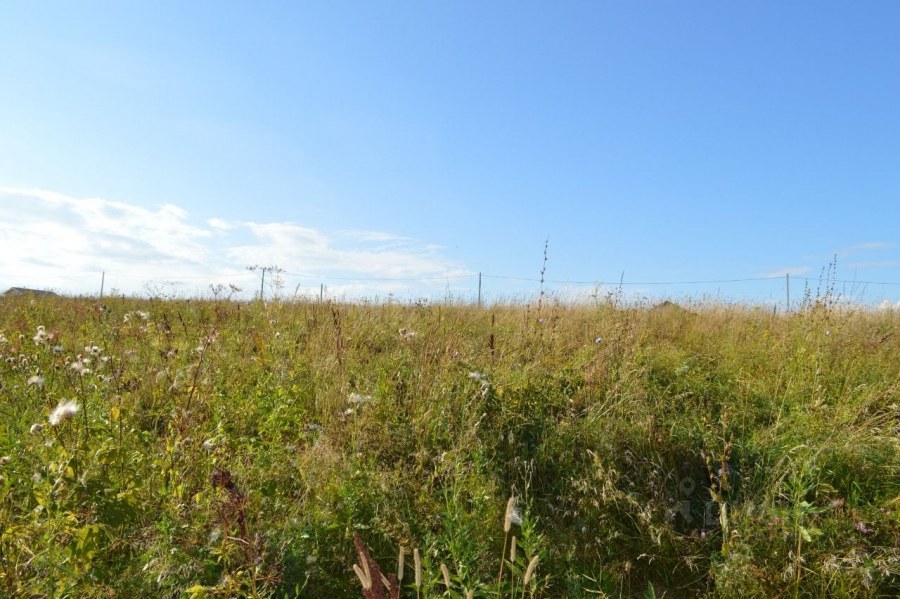 Починок Вожойский Завьяловский район