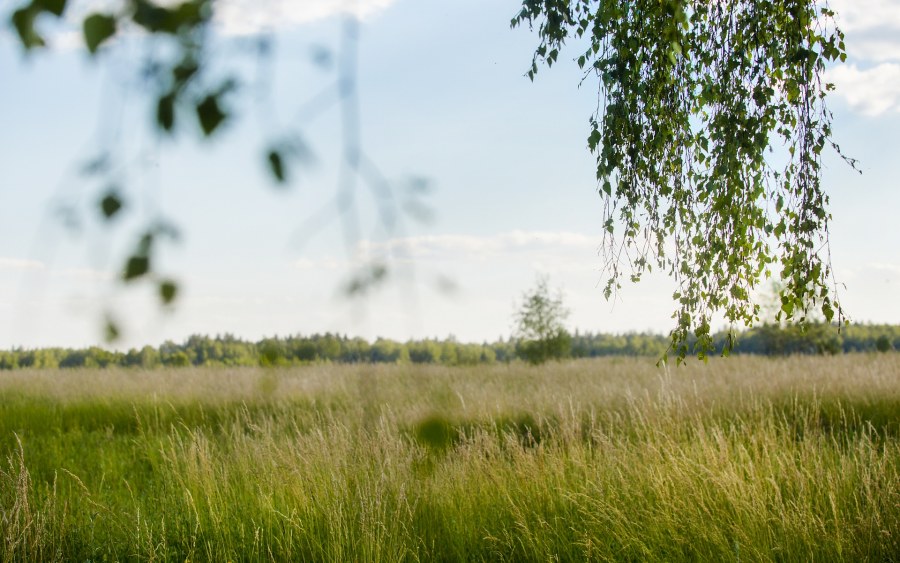 Коттеджный поселок Починки Ступинский район