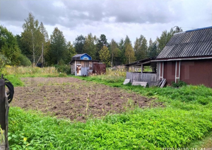 Нептун СНТ Купавна