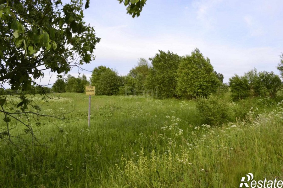 Металлург СНТ Починки