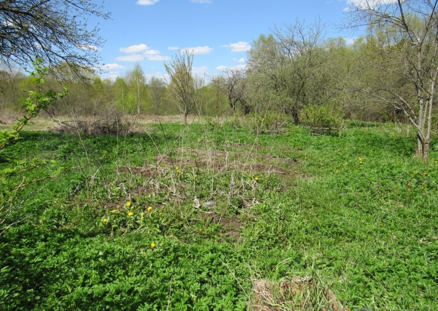 Воскресенский район м5 объект