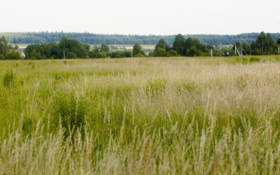 Село Починки Егорьевского района Московской области