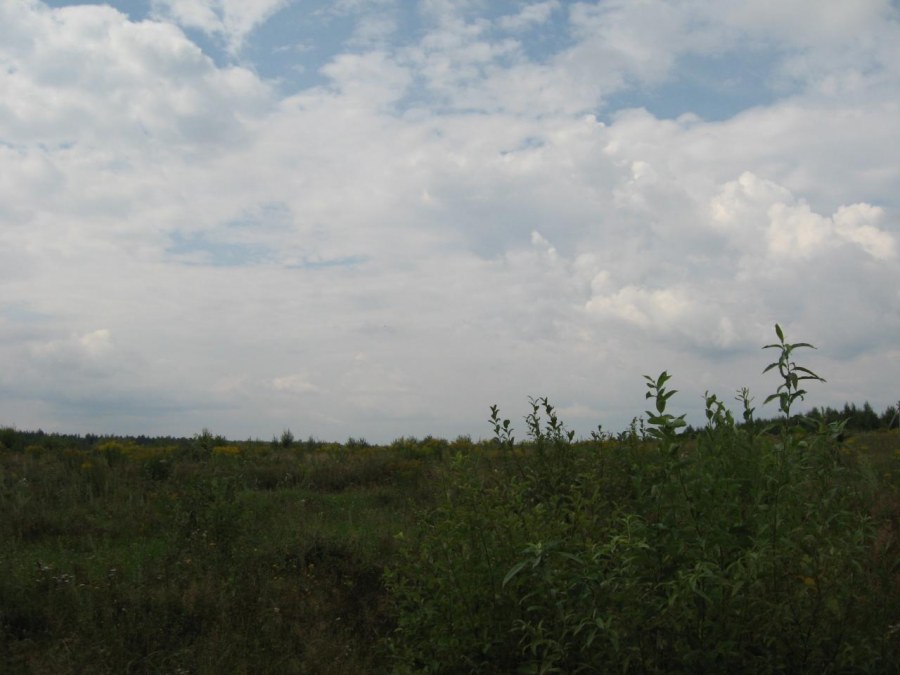 Солнечногорский район Московской области