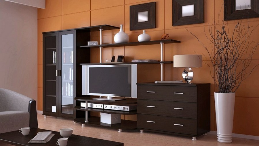 Гостиная Элисон Сильва