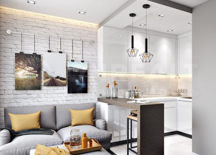 Евродвушка кухня-гостиная 15 кв.м