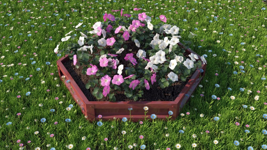 Чайная клумба своими руками схема фото