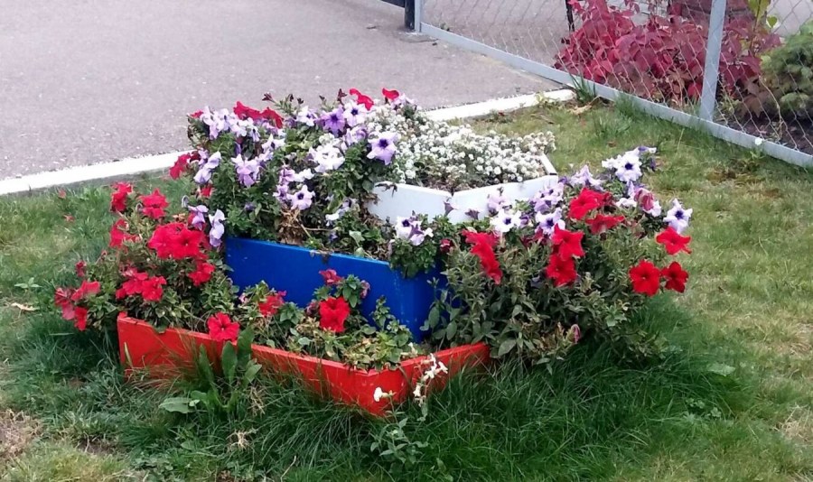 Декор клумб на даче