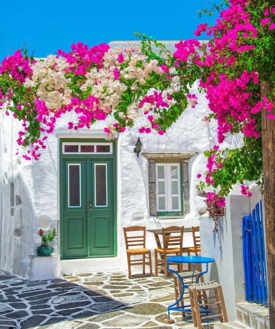 Бугенвиллия на Санторини