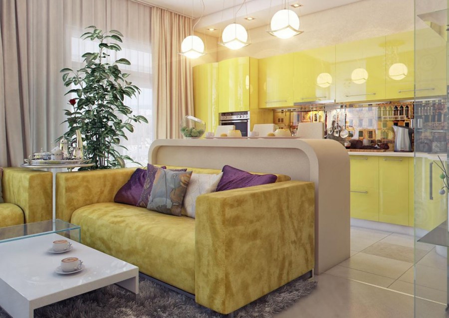 Кухня Объединенная с гостиной