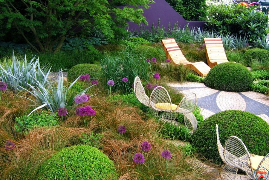 Сад на участке