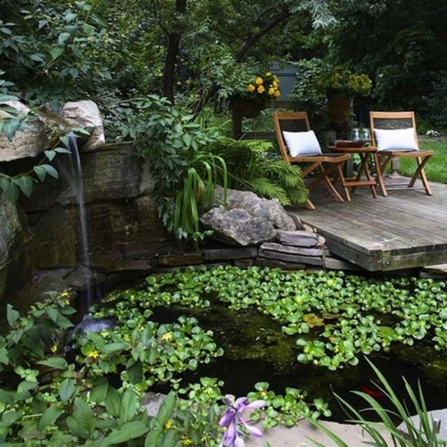 Водоемы в ландшафте