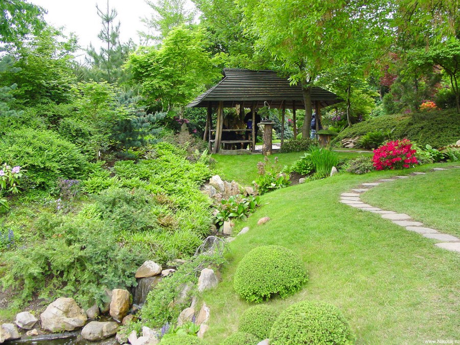 Террасирование лесного участка