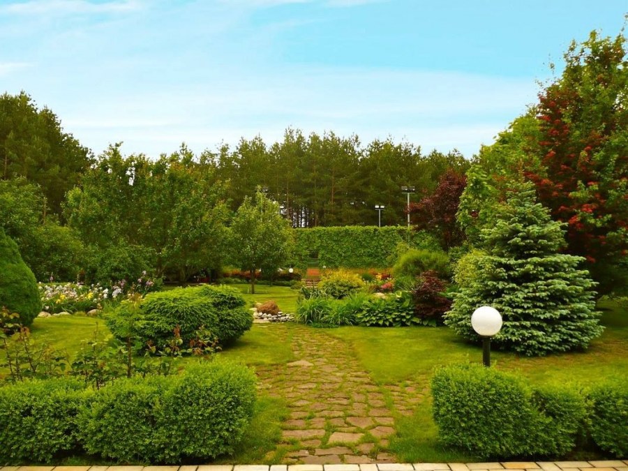 Абрамцево ландшафт парка