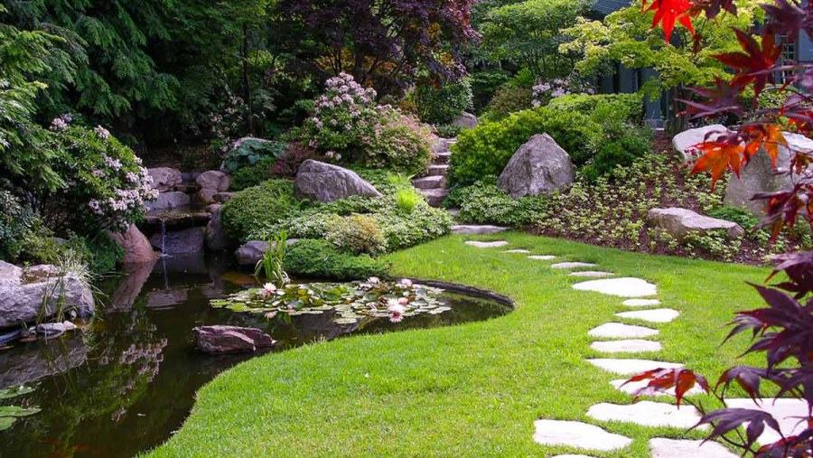 Хелен парк+ ландшафт