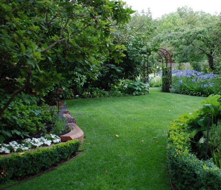 Фото панорама зеленый двор