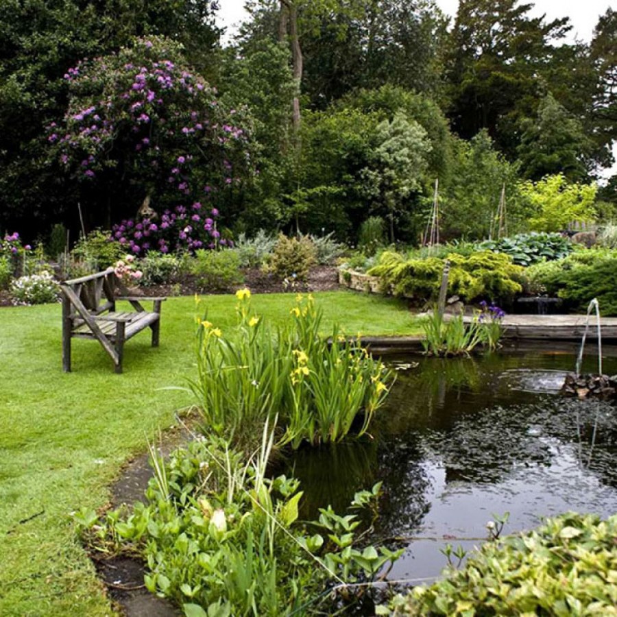 Сад в пейзажном стиле