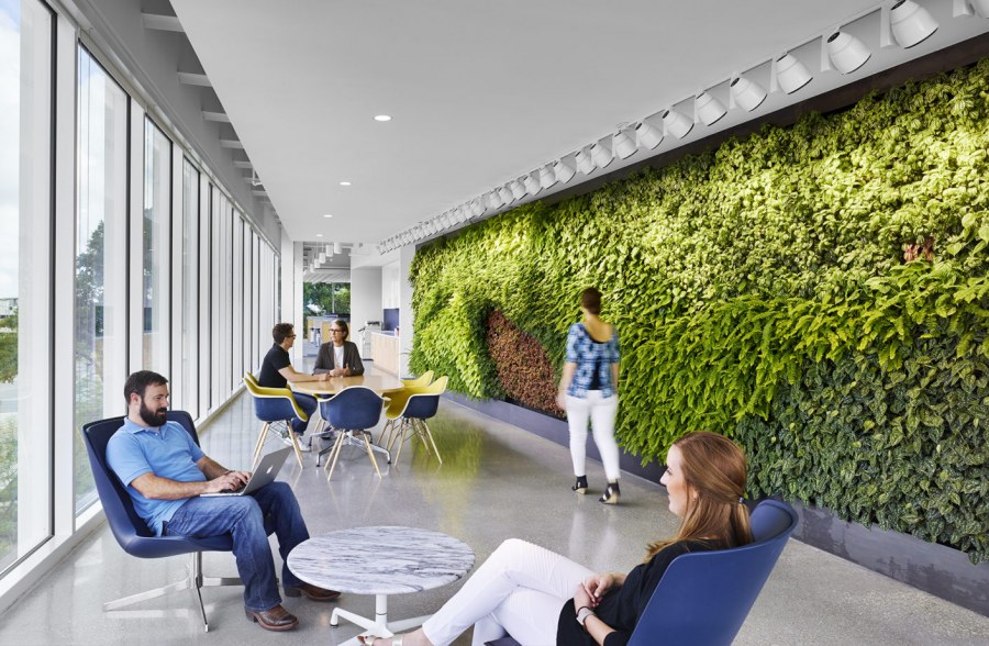 Зеленая зона в офисе