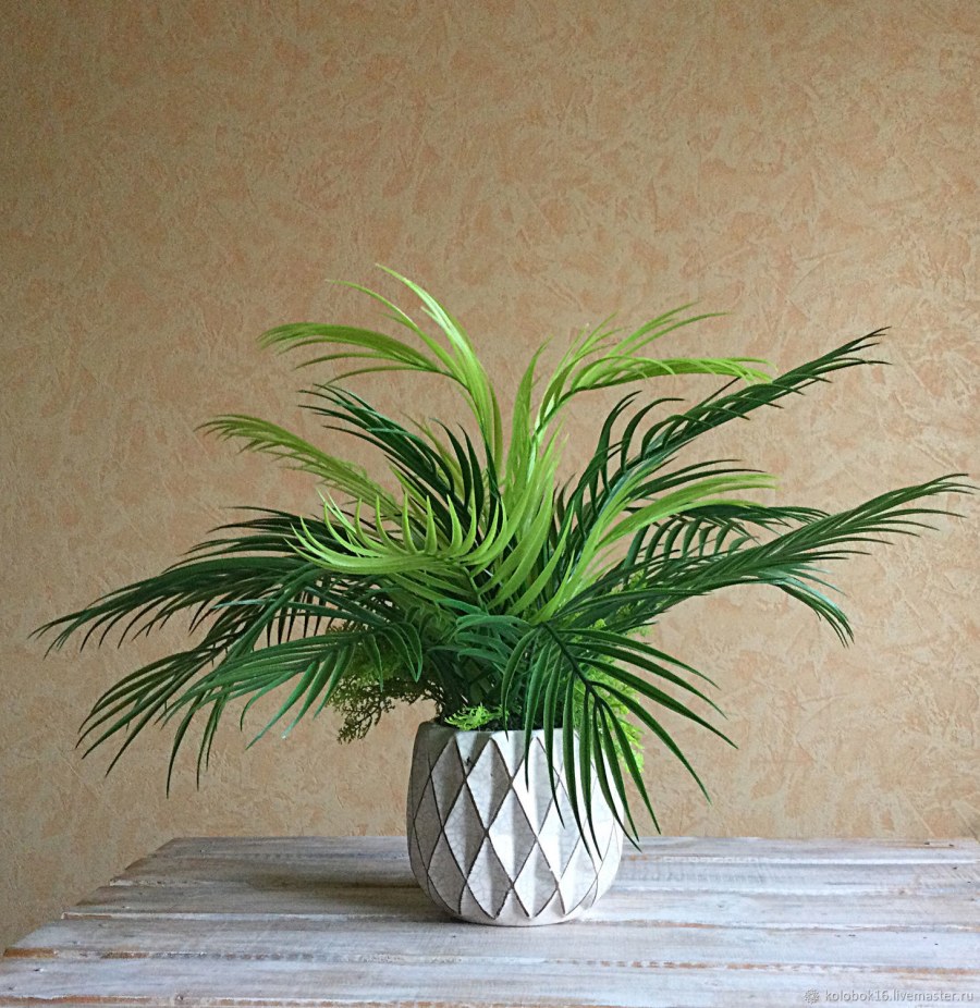 Арека Дипсис