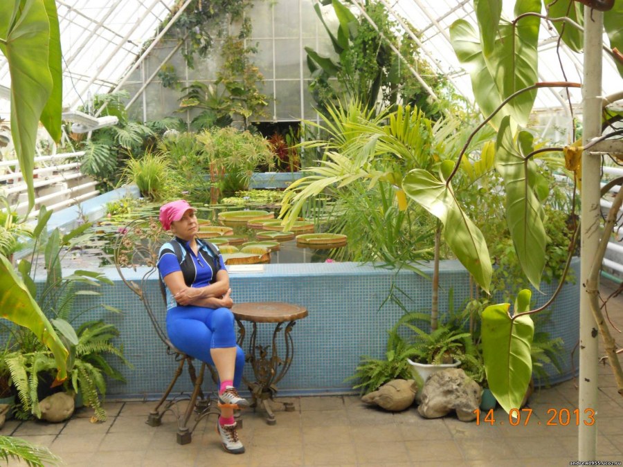 Проект Эдем внутри