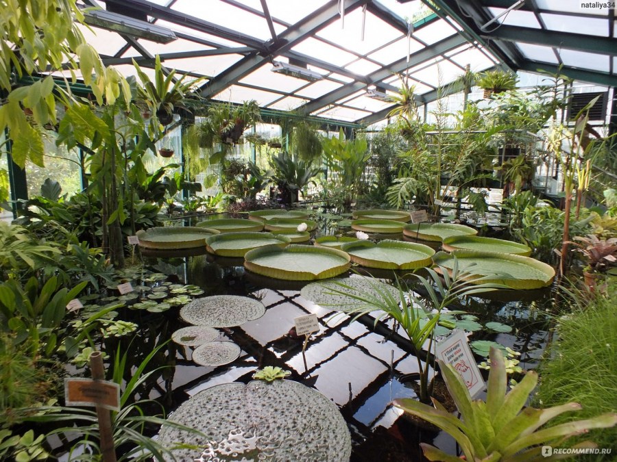 Монреальский Ботанический сад оранжерея