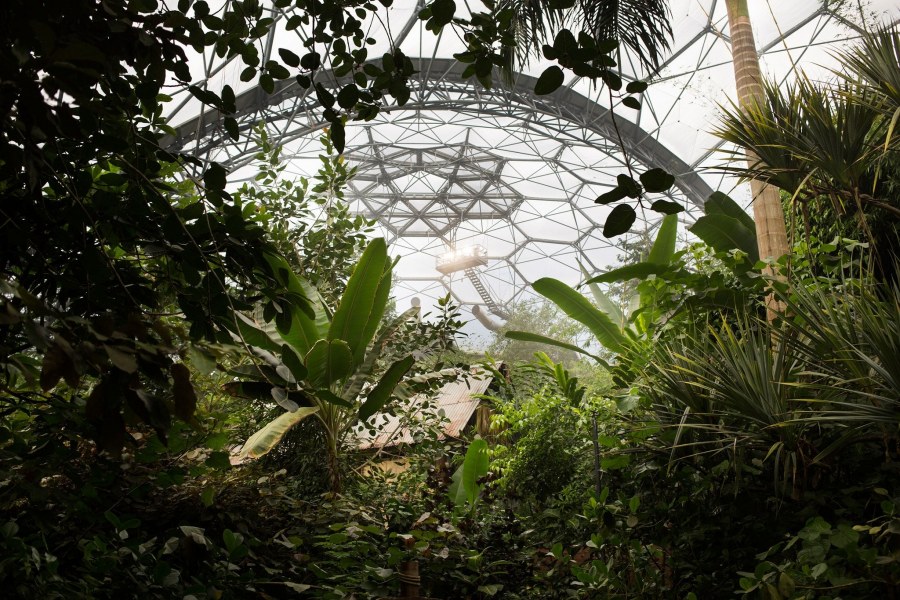 Ботанический сад Рио-де-Жанейро оранжерея