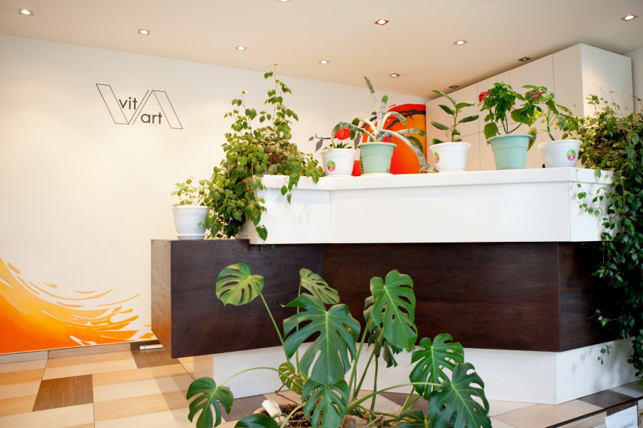 Стоматологическая клиника пчёлка в Клинцах