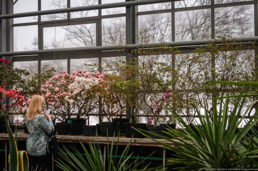 Академия улыбки стоматология Брянск