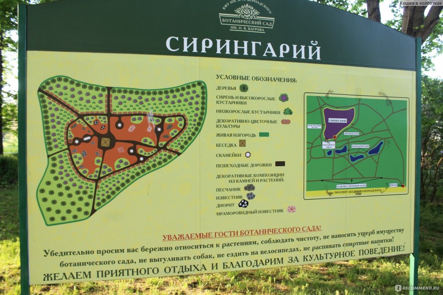 ВИАЙПИ стоматология