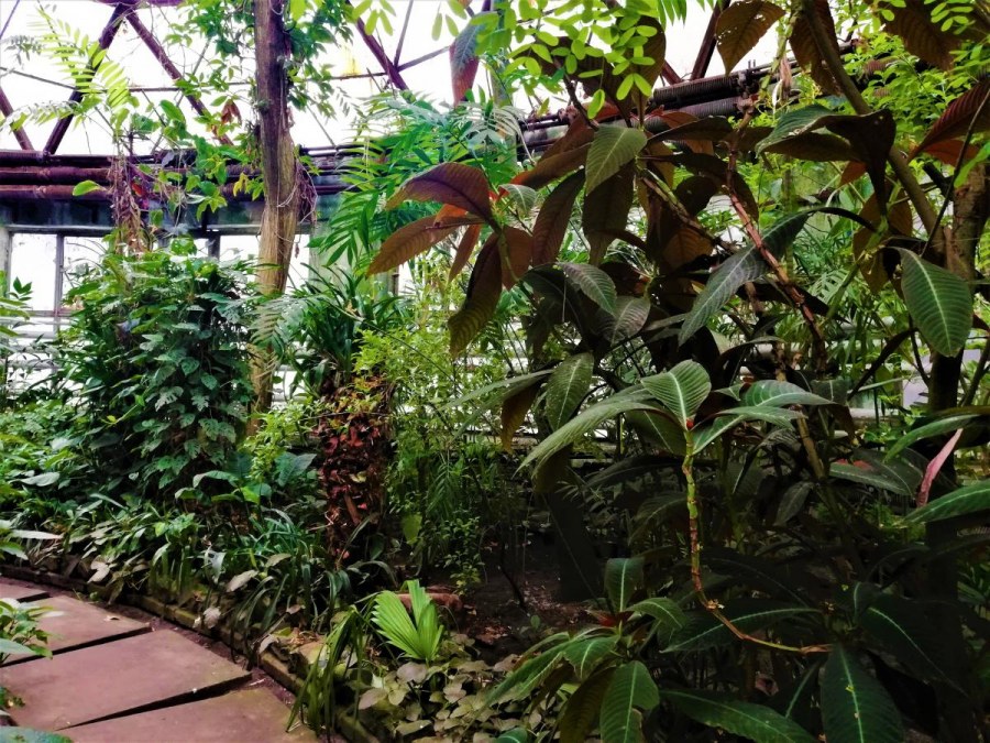 Ботанический сад Ульяновск