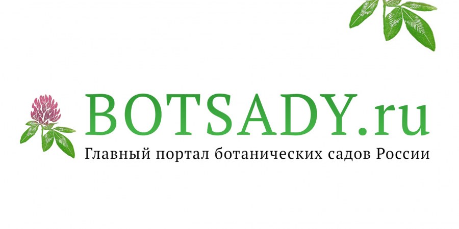 Название стоматологических клиник