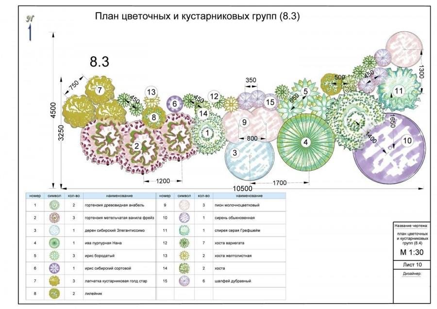 Миксбордер из многолетников непрерывного цветения схема посадки