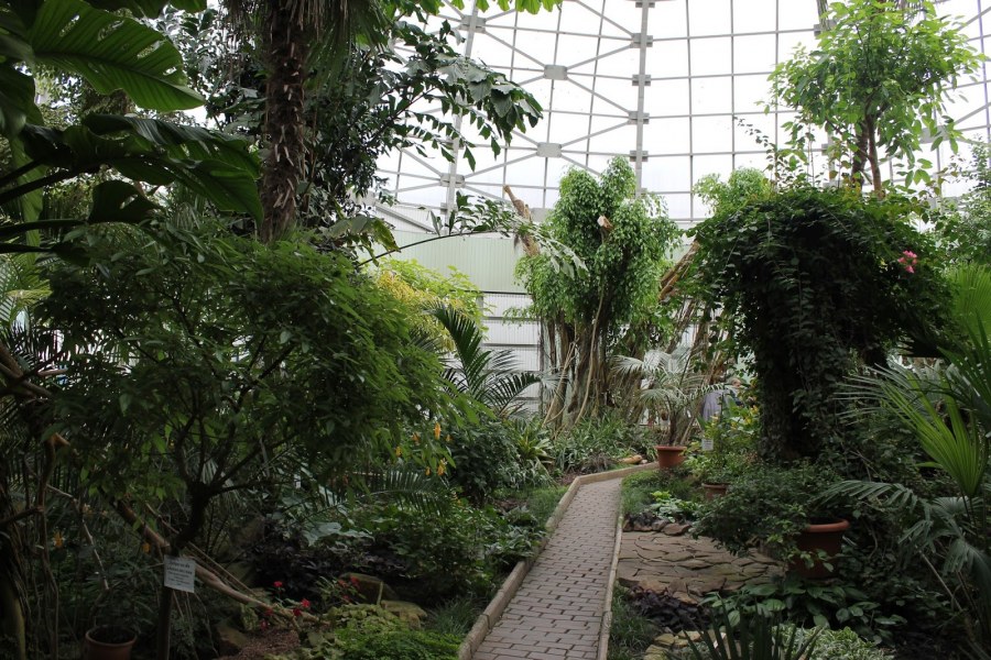 Стены в стоматологическом кабинете