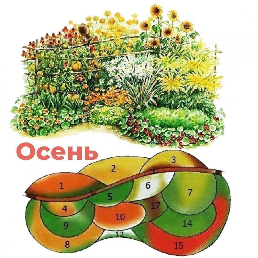 Клумба непрерывного цветения Весна-лето-осень