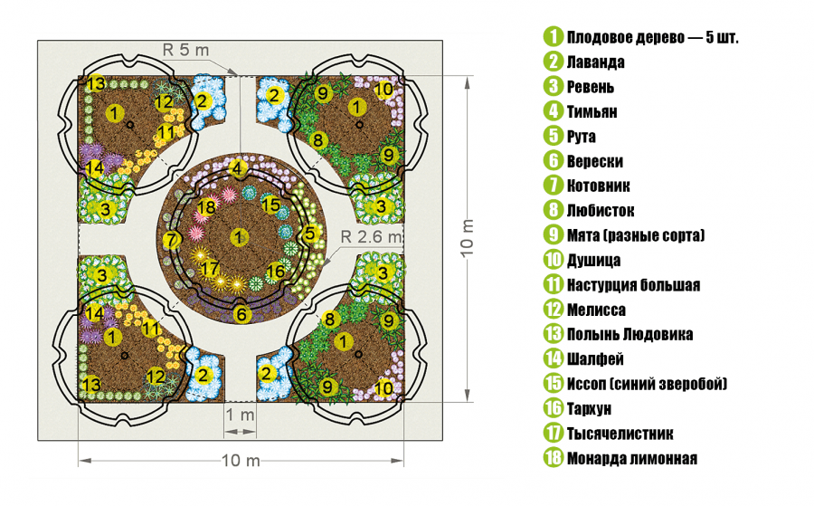 Пряные травы схема посадки