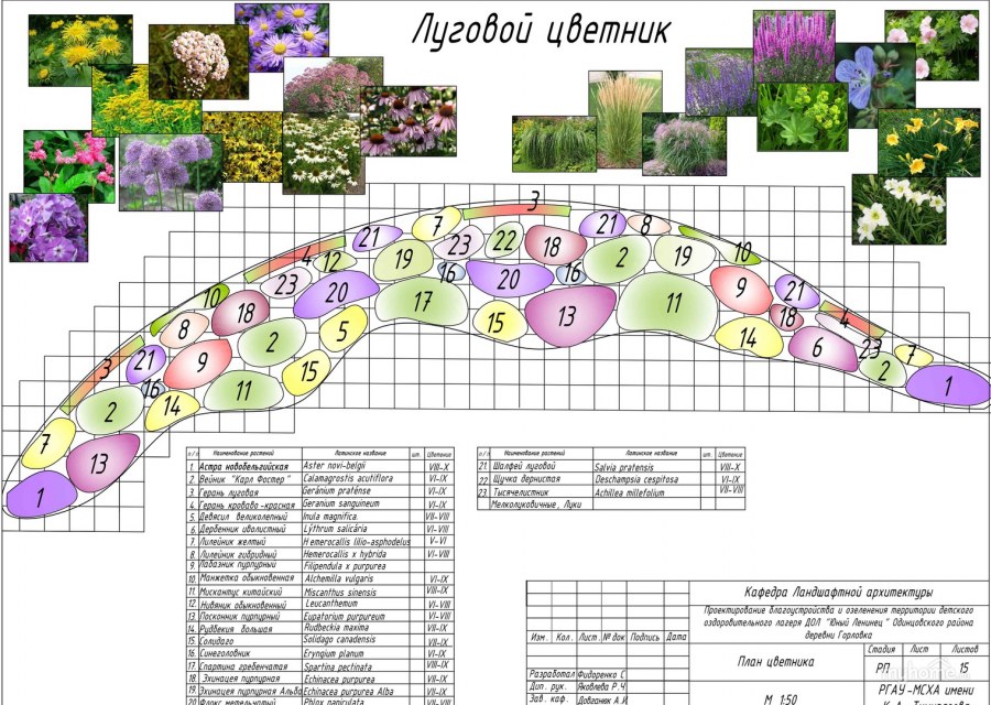 Схема рабатки непрерывного цветения