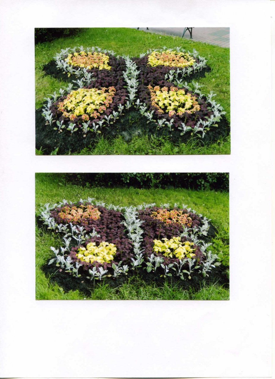 Проект “цветники: форма, размер, цвет. Узоры и орнаменты.