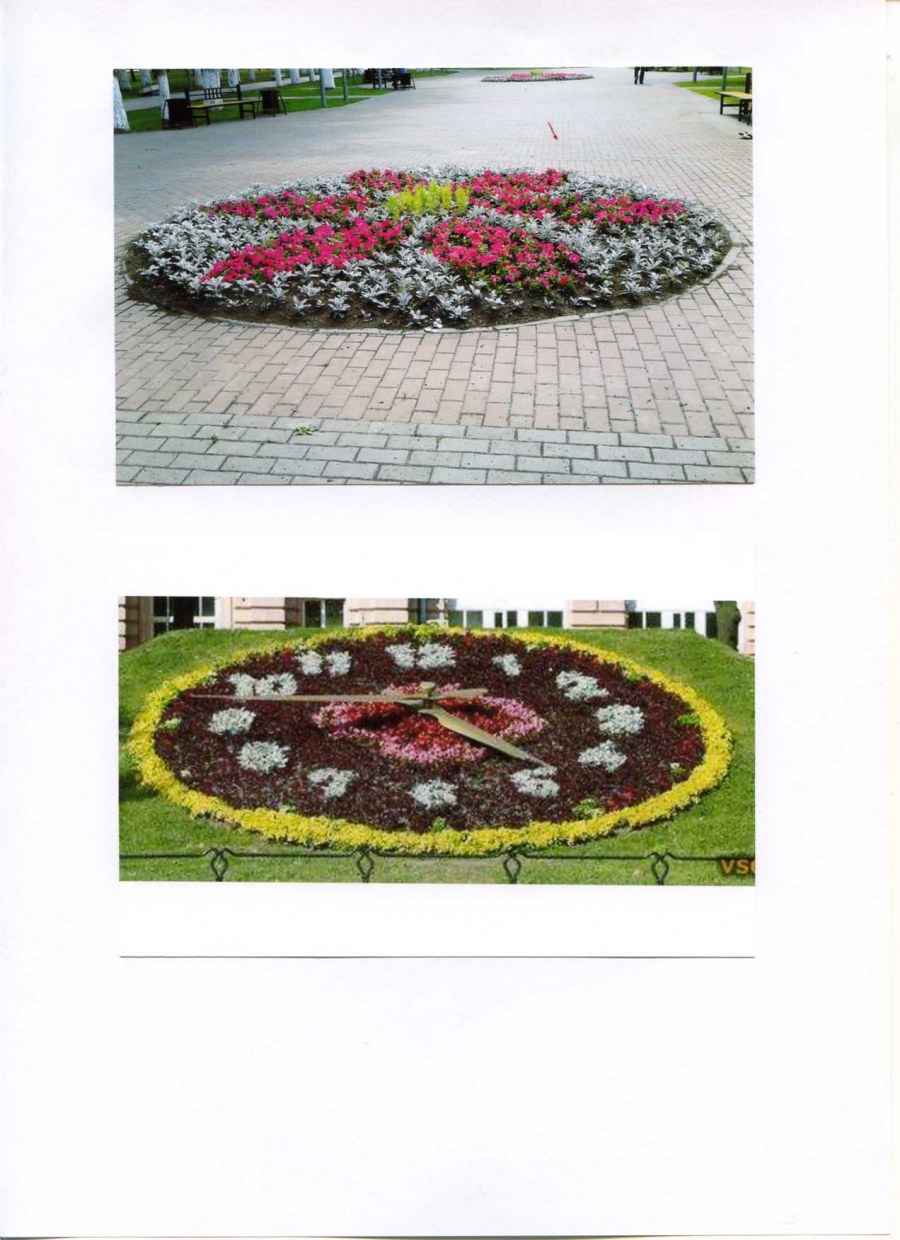 Цветники форма размер цвет узоры и орнаменты