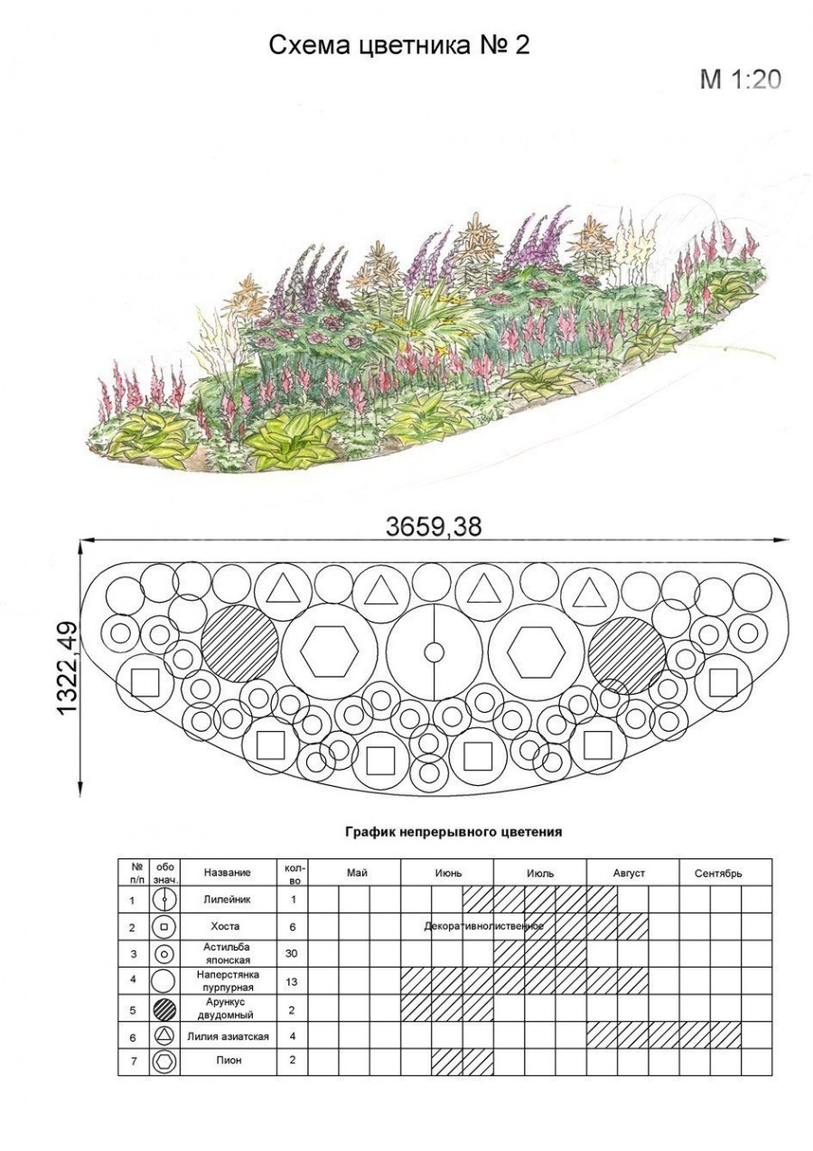 Схема миксбордера непрерывного цветения