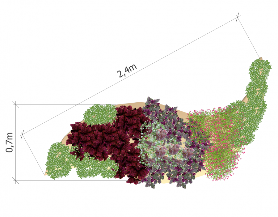Клумба вид сверху
