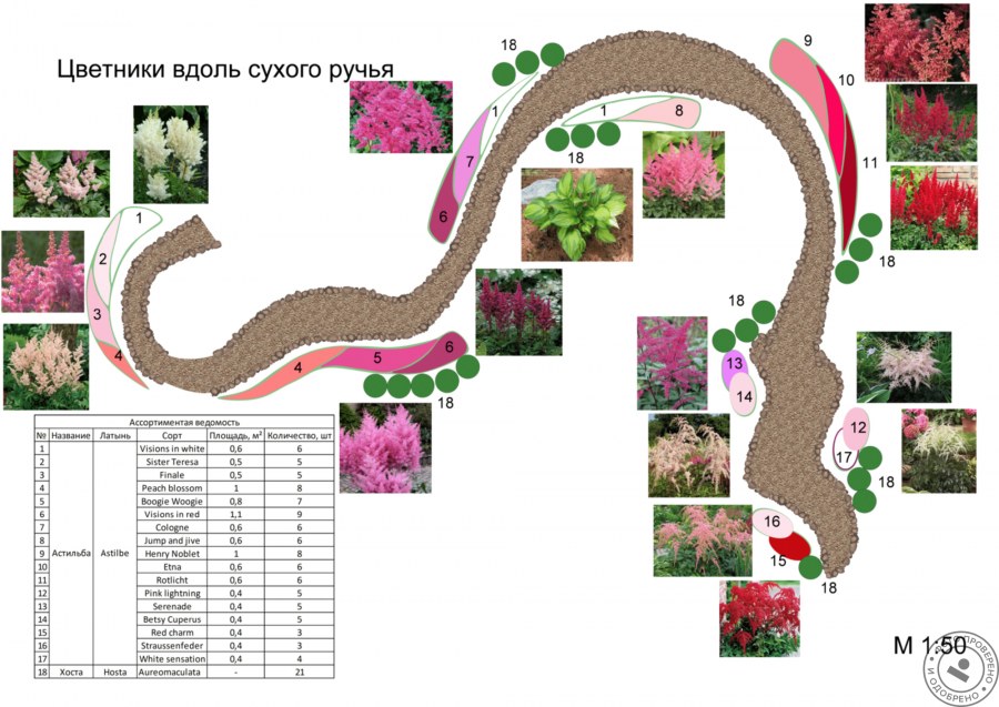 Схема сухого ручья с растениями