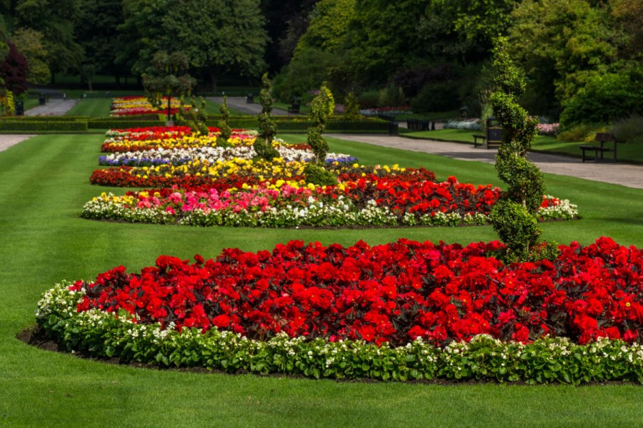 Летний сад рабатки