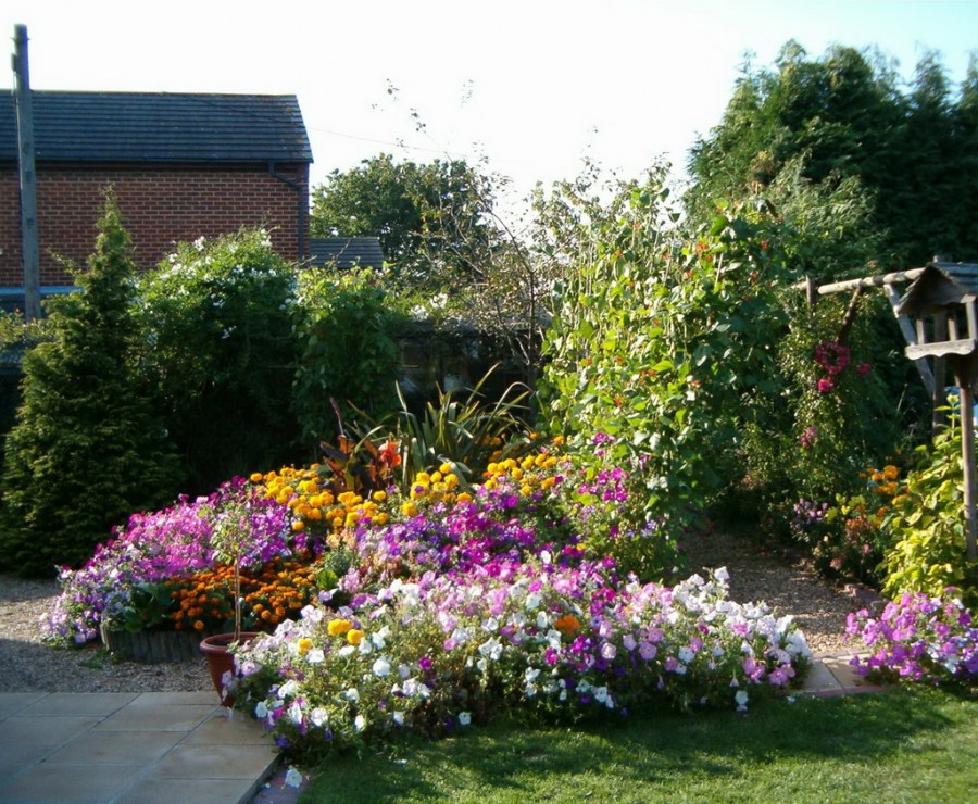 Переход цвета клумба