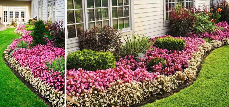 Рабатка с газоном