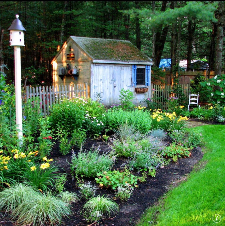 Малоуходный сад на дачном участке