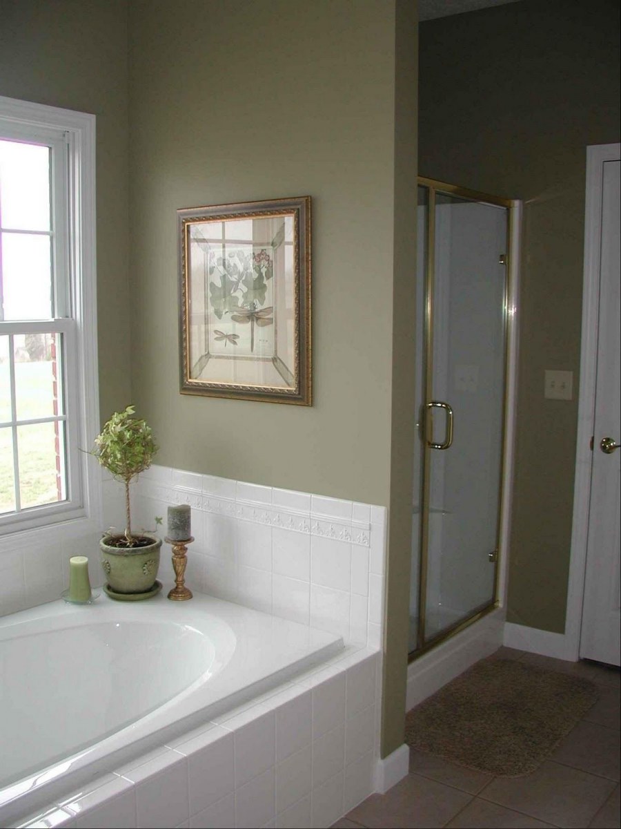 Оливковый цвет Бенджамин Мур