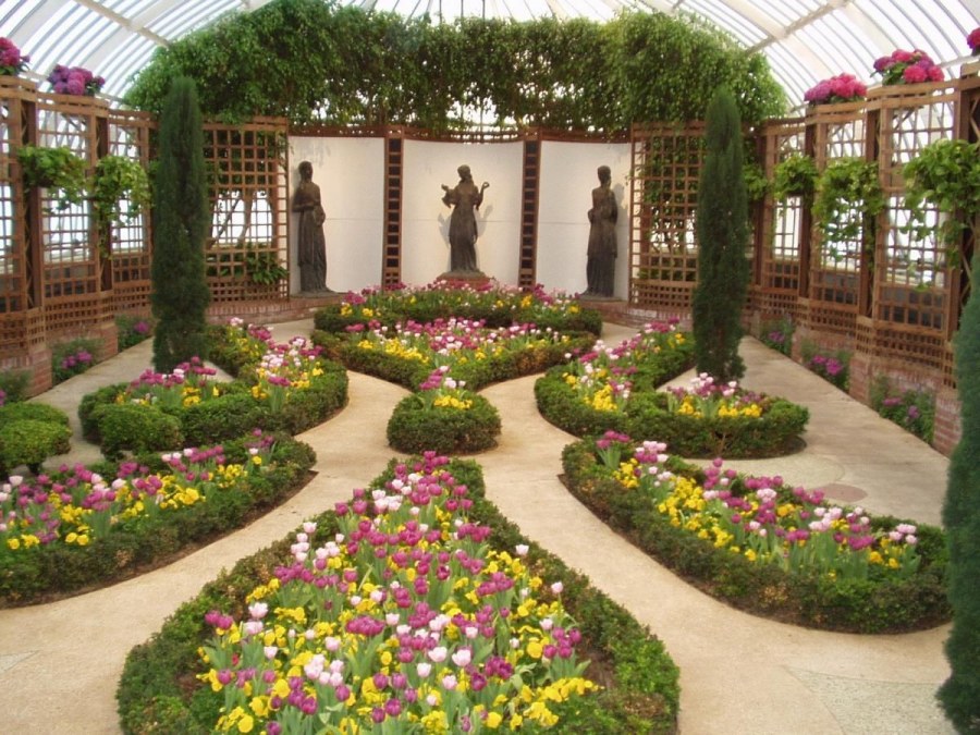 Красивый газон