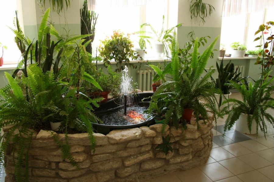 Phytodesign зимний сад